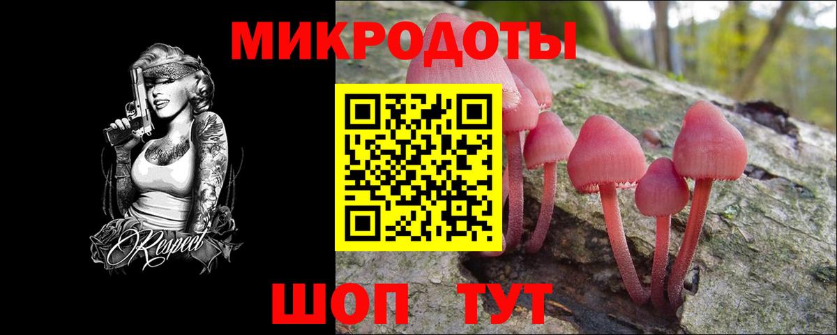 Галлюциногенные грибы MAGIC MUSHROOMS  Вход с VPN  Слободской 